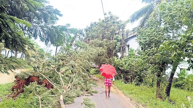 వర్ష బీభత్సం