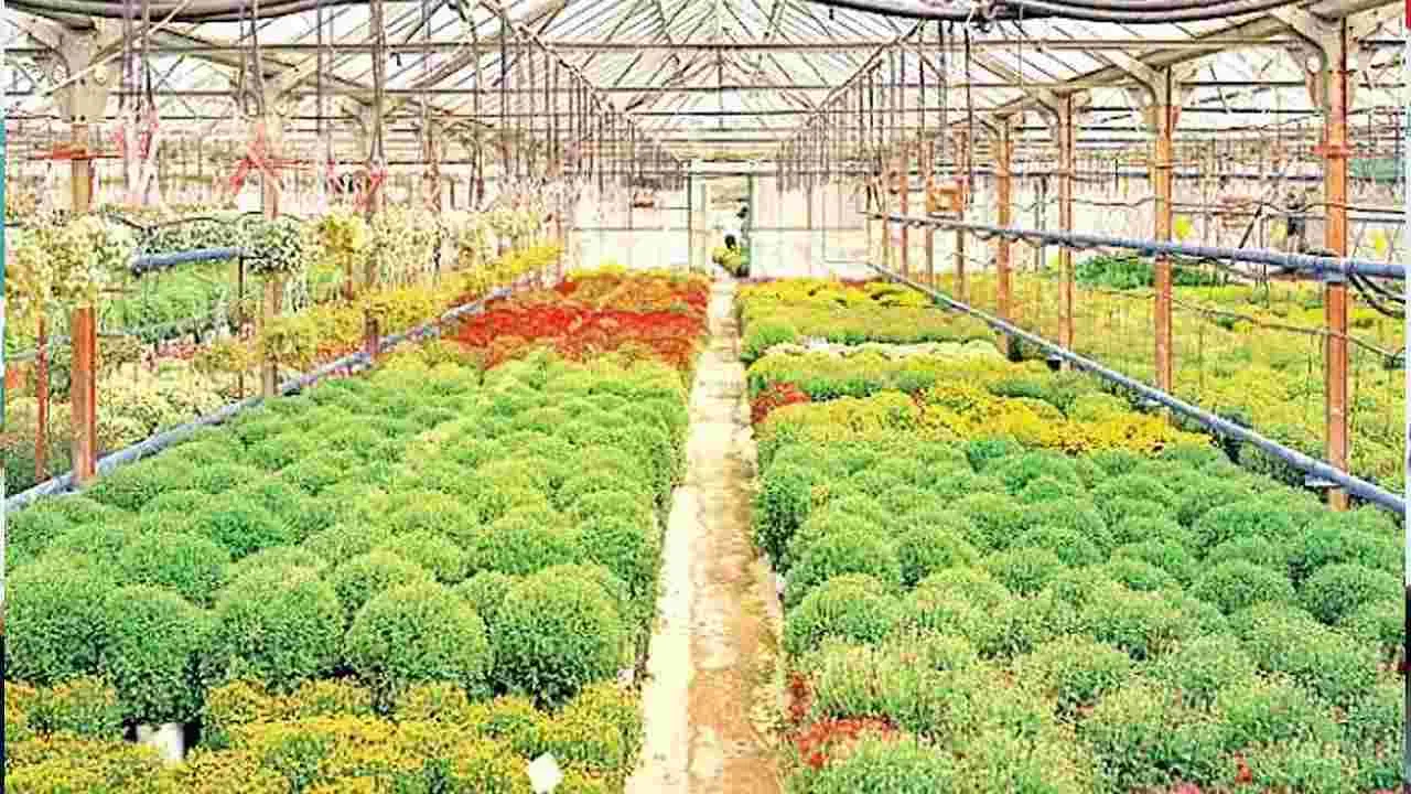 గ్లోబల్ ఫ్రూట్ బౌల్గా హార్టికల్చర్ హబ్! – general గ్లోబల్ ఫ్రూట్ బౌల్గా హార్టికల్చర్ హబ్! – general