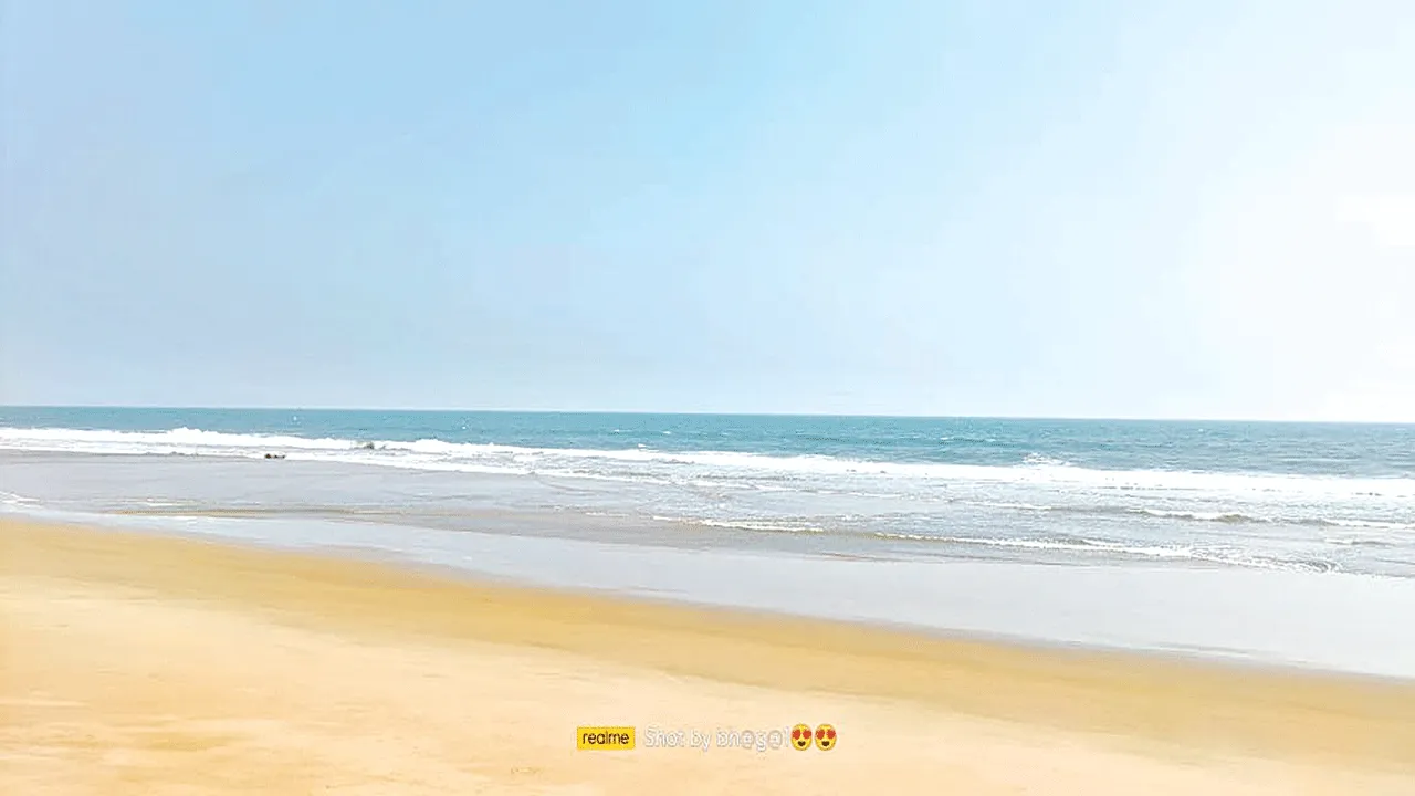 పర్యాటక ప్రగతేదీ?