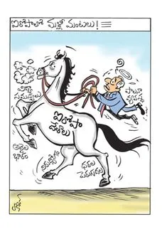 Daily Cartoon