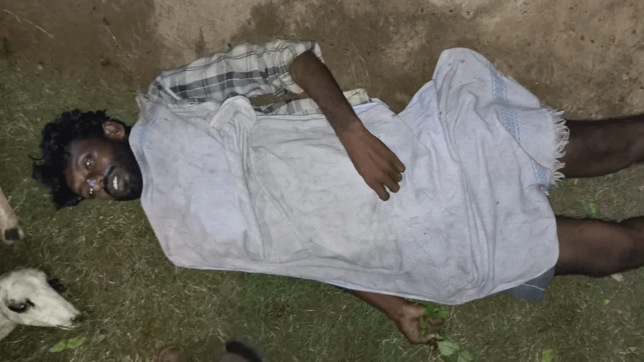 విద్యుదాఘాతానికి 15 గొర్రెలు సహా కాపరి మృతి