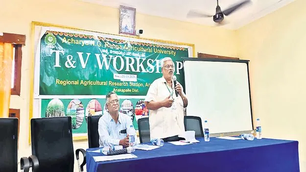 రబీలో ఆరుతడి పంటలే మేలు