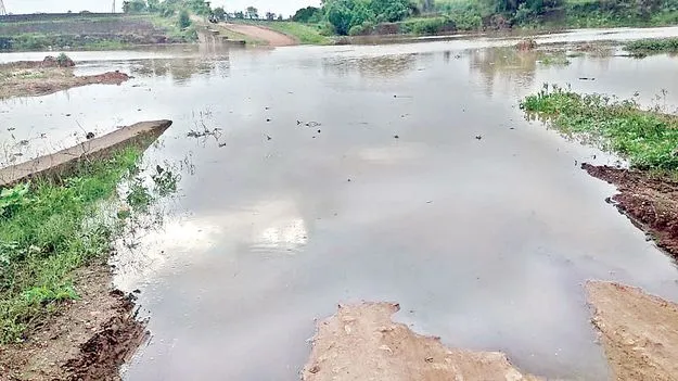 పెరుగుతున్న గోదావరి