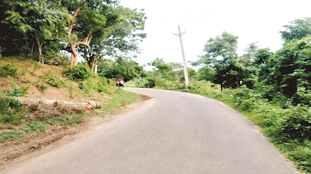 ఆ మలుపును తలచుకుంటేనే భయం