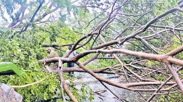 కోనసీమ కకావికలం 