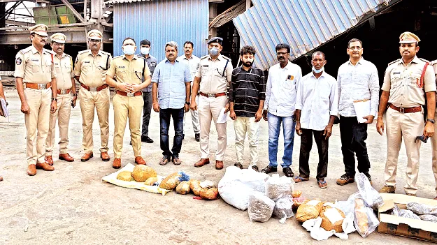 గంజాయి ధ్వంసం 