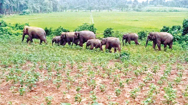 రెండో రోజులకే మళ్లీ వెనక్కి