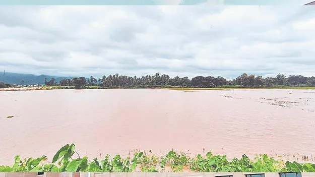 ఉత్తరాంధ్రలో కుండపోత