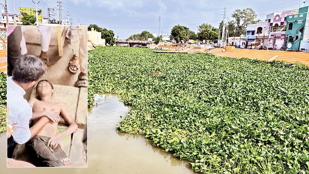 ప్రాణాంతకంగా గుర్రపు డెక్క