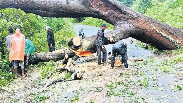 తుఫాన్‌ విధ్వంసం