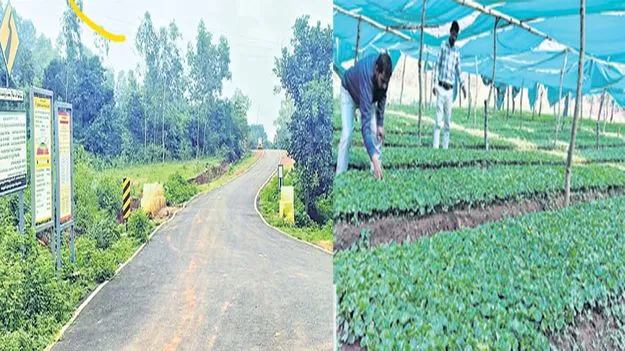 గిరిజనుల సంక్షేమానికి కూటమి పెద్దపీట 
