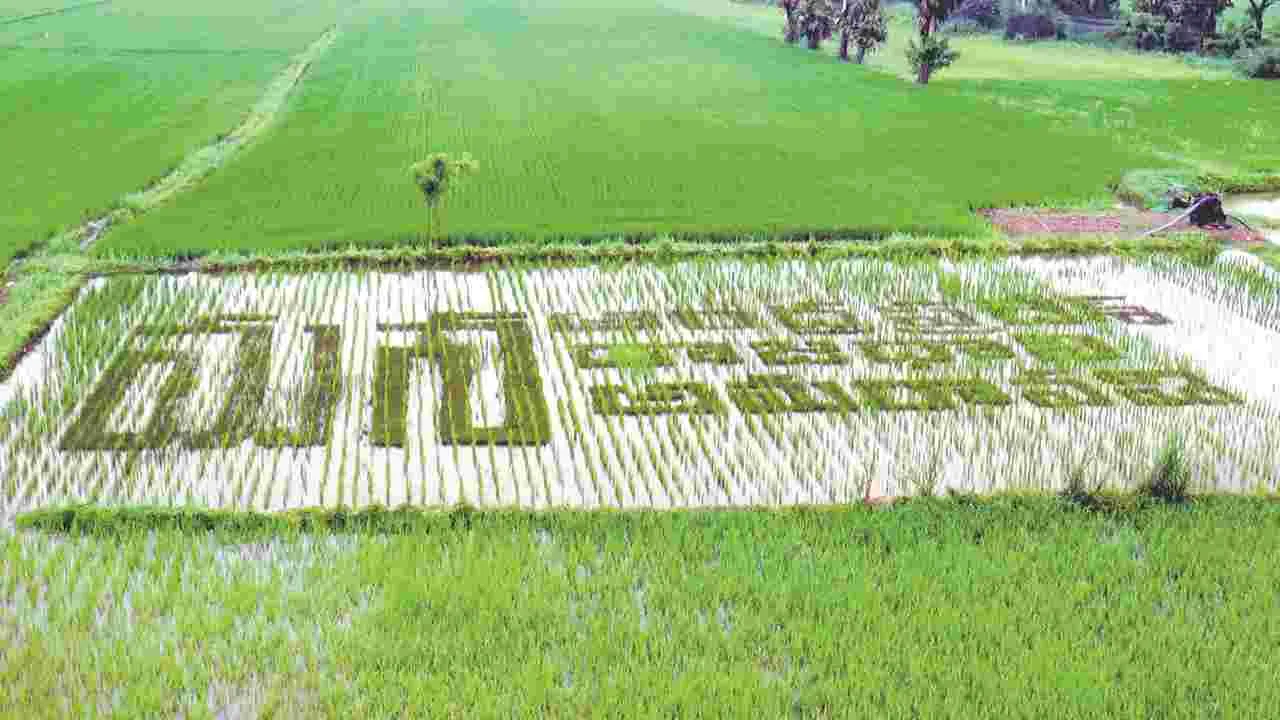 అత్తోటలో రైతు బాపారావు వినూత్న ఆవిష్కరణ