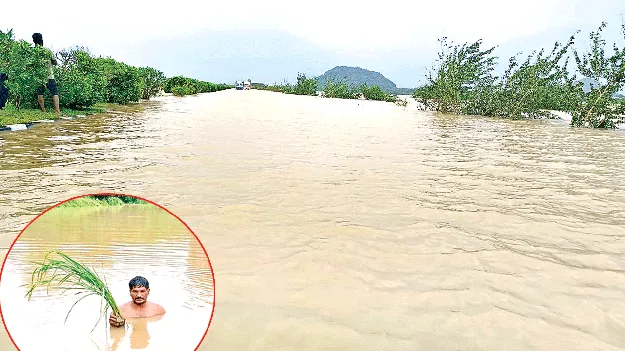 ఆర్నబ్‌తో అపార నష్టం
