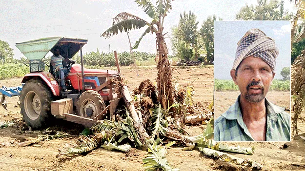 అరటి రైతు కన్నీరు..