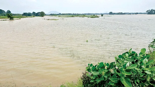  నష్టం మిగిల్చిన ఆర్నబ్‌