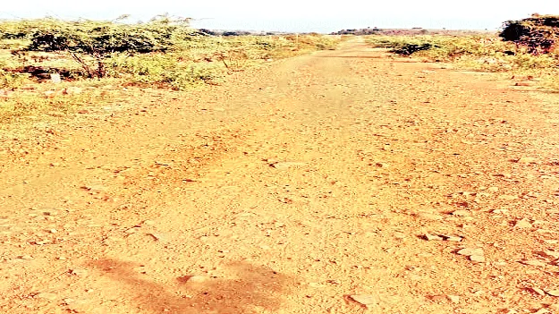 పల్లె దారులకు మహర్దశ