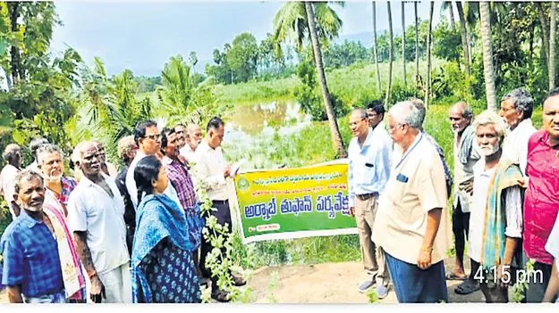 వరి పొలాల్లో సత్వరమే నీటిని తొలగించాలి