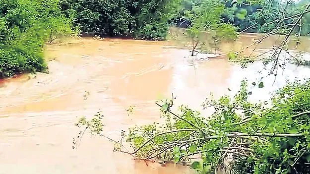 పెద్దేరు ఉగ్రరూపం
