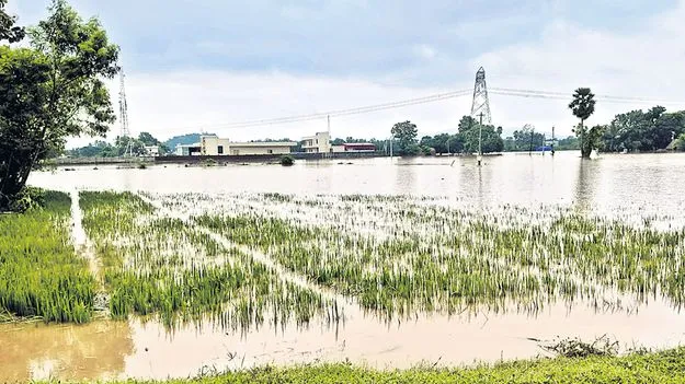 అన్నదాతను ముంచేసిన తుఫాన్‌