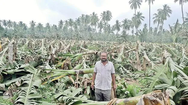 అన్నదాతల ఆశలపై ఆర్నబ్‌ నీళ్లు!