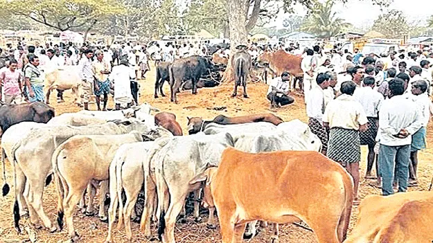 దొరికితేనే దొంగలు