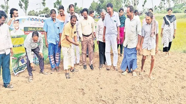 ఆరుతడి పంటలే మేలు