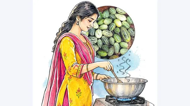 కాచ్రి...ఎడారి దోసకాయ 