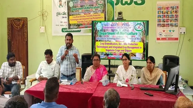 Karimnagar:  ప్రత్యామ్నాయ పంటలతో అధిక ఆదాయం