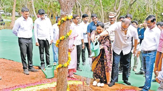 కూటమిది నాటే సంస్కృతి.. వారిది నరికే సంస్కృతి  