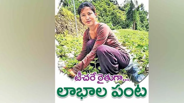 టీచరే రైతుగా... లాభాల పంట