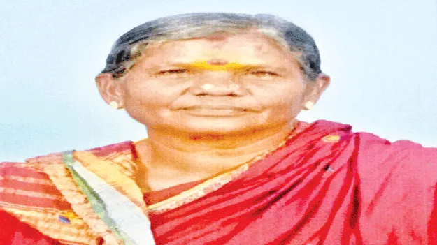 29 విద్యుత్‌ మీటర్లు ఉన్నాయంటూ..