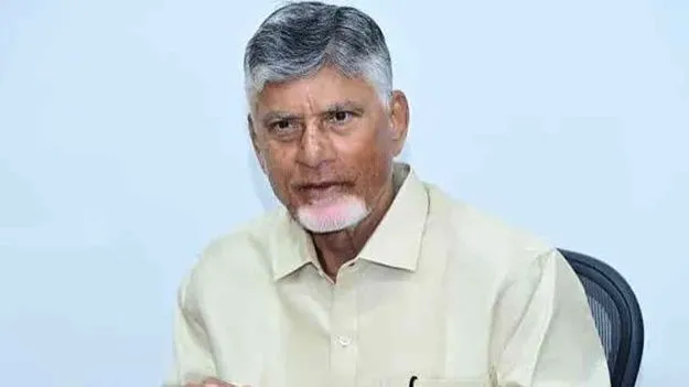 బీసీలకు 44 శాతం