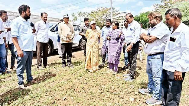 గోశాలలో పచ్చిమేత 
