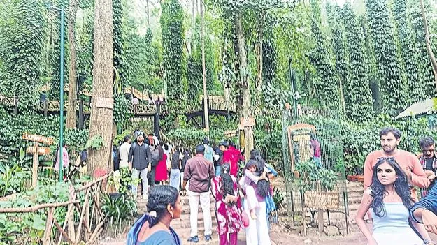 అరకులోయలో పర్యాటకుల సందడి