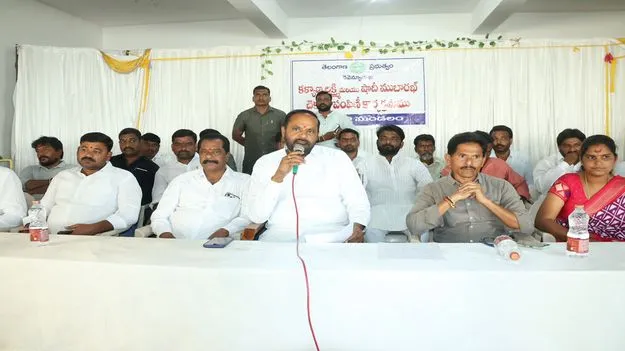 యాసంగికి మొక్కజొన్న సాగు చేయాలి 