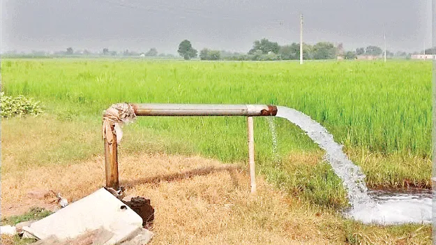 జలధార