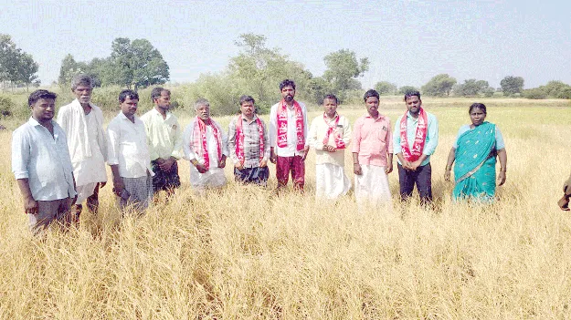 కరువు జిల్లాగా ప్రకటించాలి 
