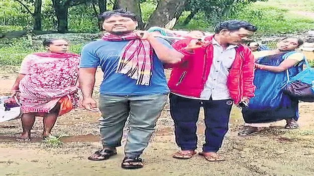 గర్భిణికి తప్పని డోలి మోత