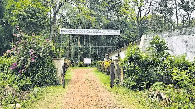 ఖండాంతరాలకు అరకు కాఫీ ఘుమఘుమలు