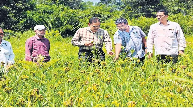 వ్యవసాయ ప్రగతికి పెద్దపీట