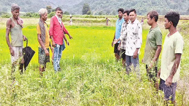 కరువు మండలంగా ప్రకటించండి