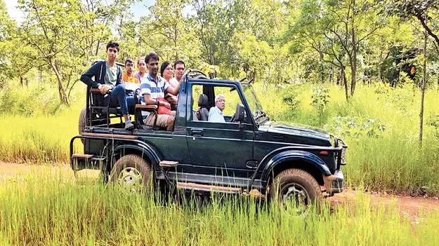 నేటి నుంచి జంగిల్‌ సఫారీ 