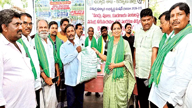 ‘ఉద్యాన’ అభివృద్ధికి ప్రభుత్వం కృషి