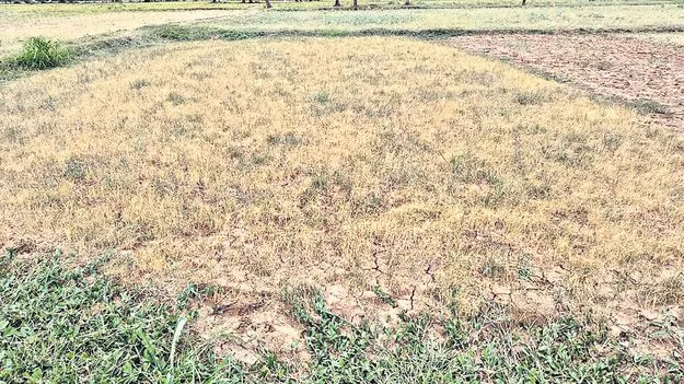 సెప్టెంబరు ఆదుకుంటుందా?
