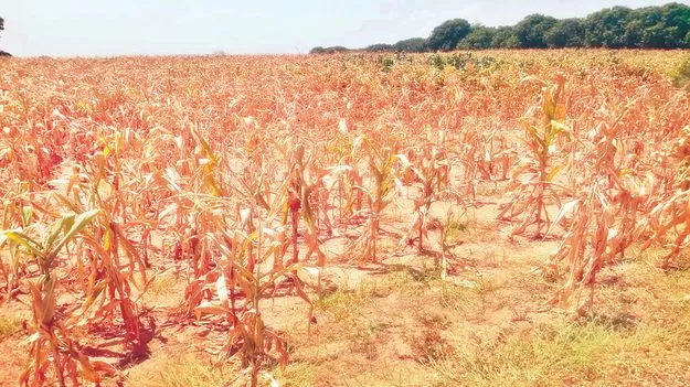 అడుగంటుతున్న భూగర్భ జలాలు