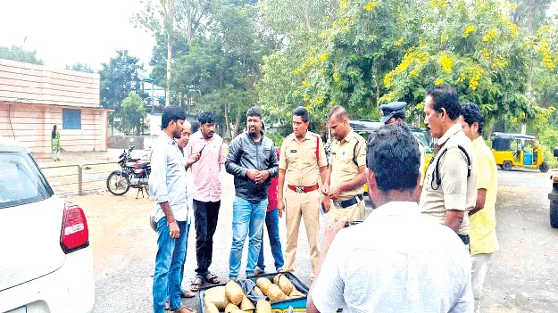  భారీగా గంజాయి స్వాధీనం