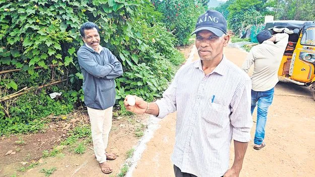 చిన్నబోయిన గుడ్లు