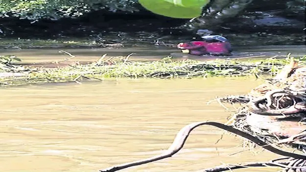 గాంకొండ వాసులకు రవాణా కష్టాలు