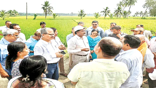 ప్రతి రైతూ పంటల బీమా చేయించుకోవాలి