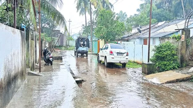 కొనసాగుతున్న ముసురు